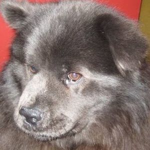 Meet your Posher, Elly